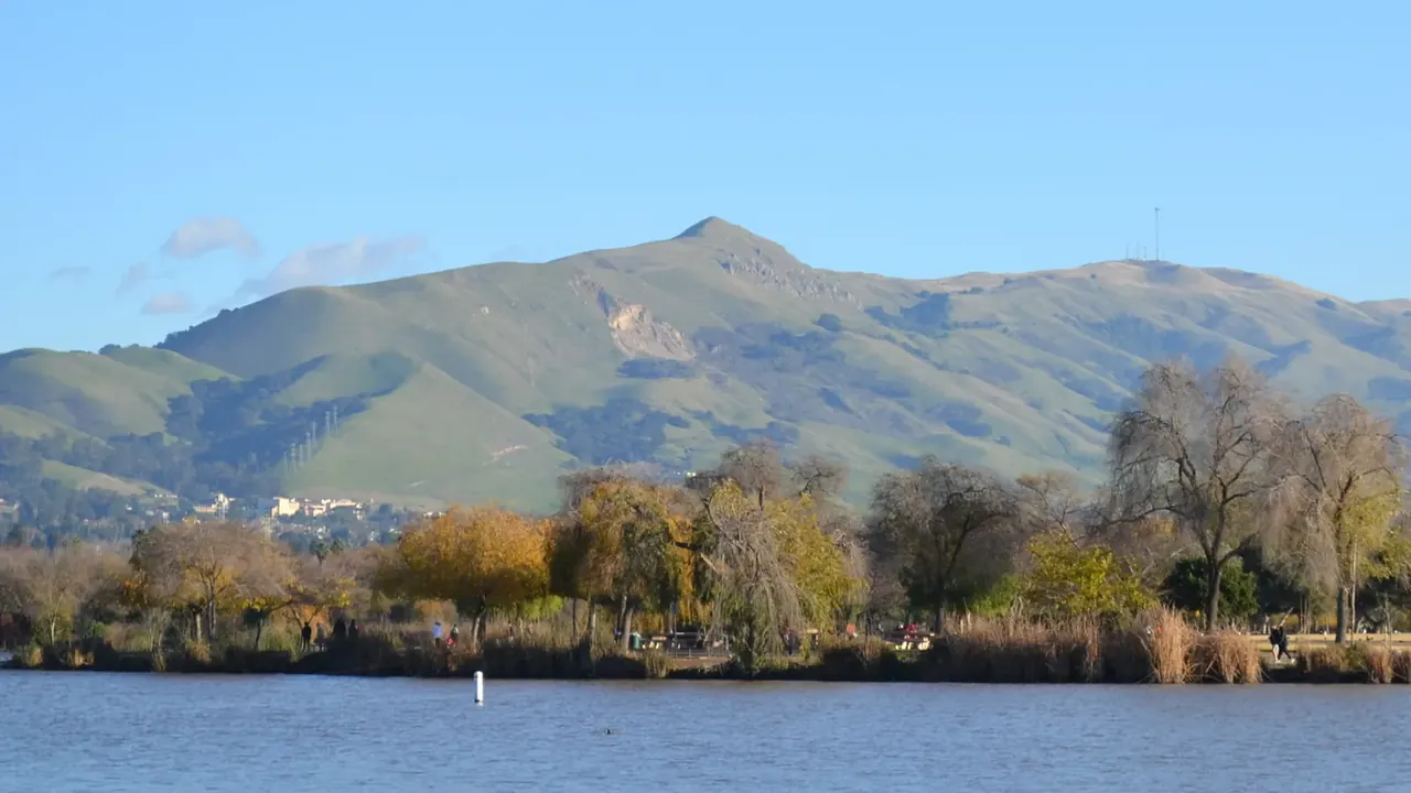 Fremont skyline